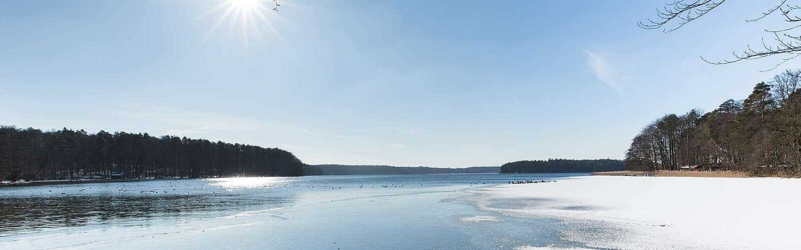 Winterlicher Stechlinsee,
        
    

        Foto: TMB-Fotoarchiv/Steffen Lehmann