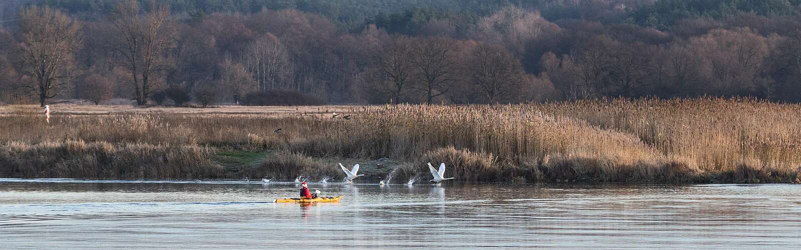 Kanuwanderer auf der Oder ,
        
    

        Foto: TMB-Fotoarchiv/Yorck Maecke