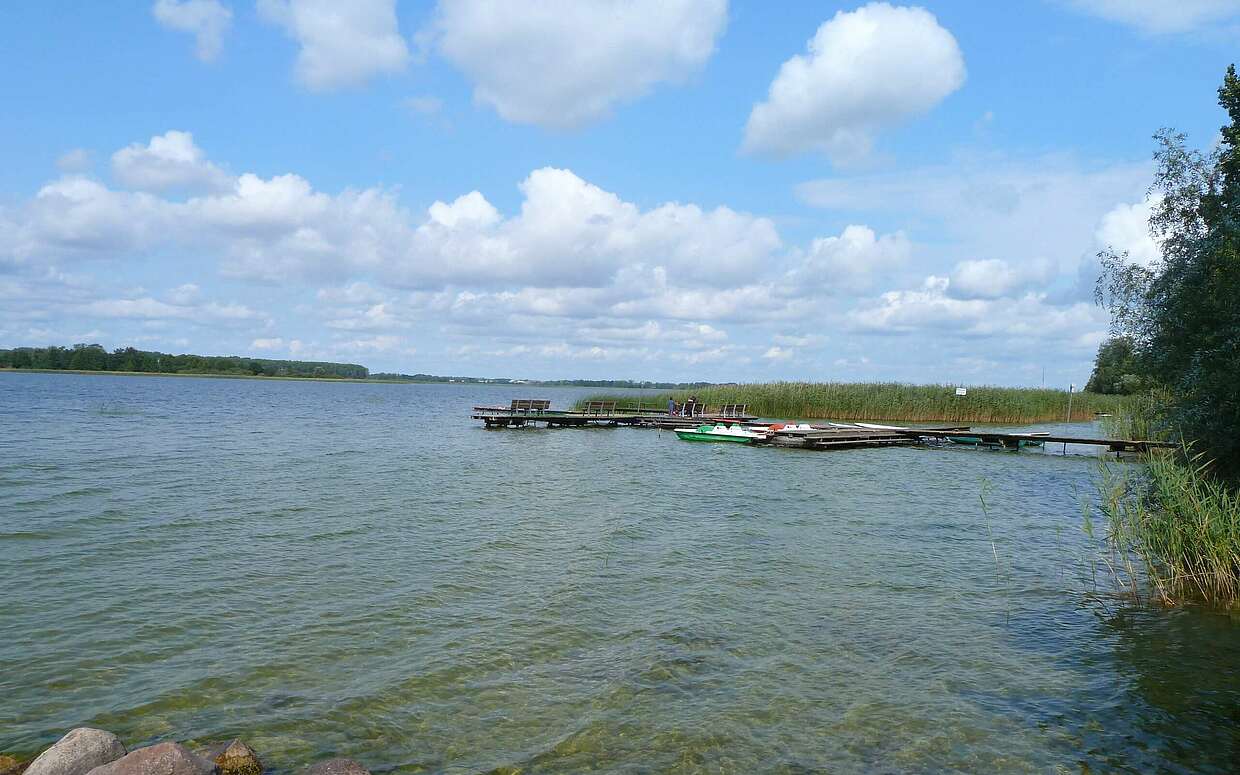 Das klare Wasser des Oberuckersees lockt zum Hineinspringen.