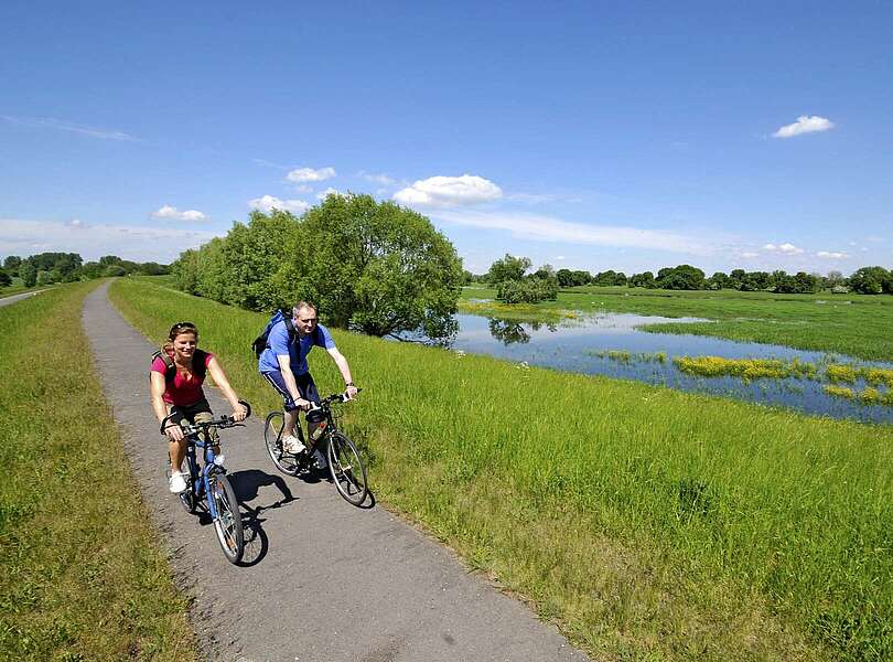 Radfahrer Oder-Neiße-Radweg