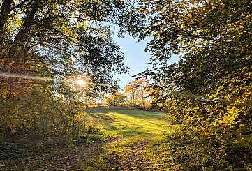 Die Uckermark: Natur und Seen