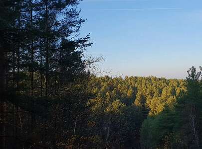 Im Naturpark Niederlausitzer Landrücken