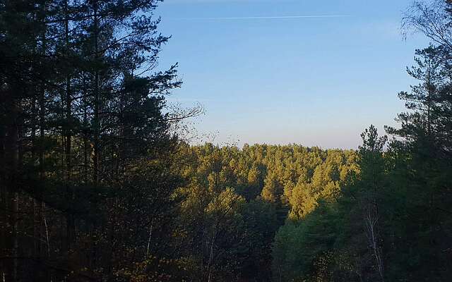 Im Naturpark Niederlausitzer Landrücken