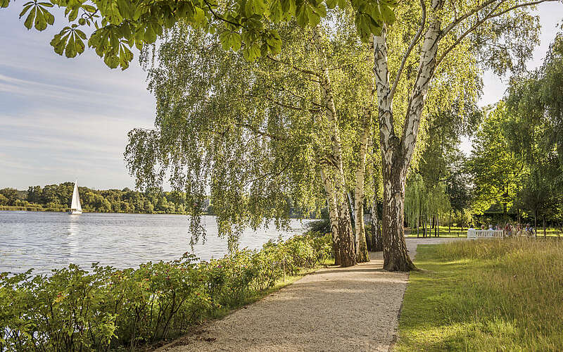 



        
            Abschnitt des Havelradwegs,
        
    

        Foto: visitBerlin/Dagmar Schwelle
    