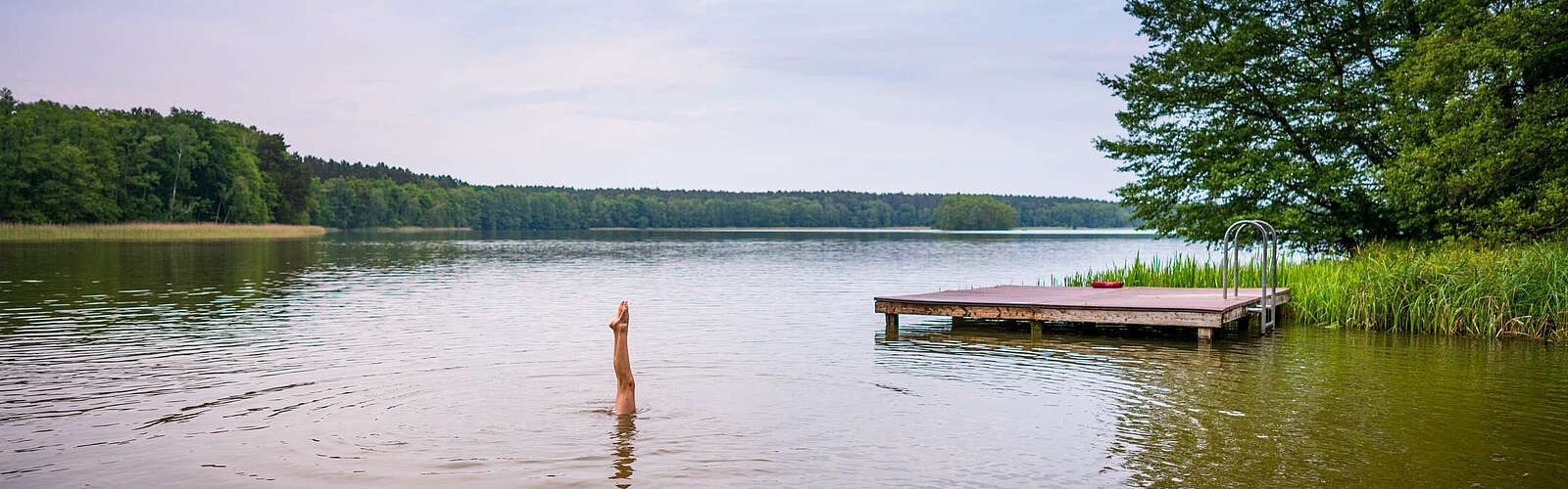 Handstand im Moderfitzsee,
        
    

        Foto: REGiO-Nord mbH/André Wirsig