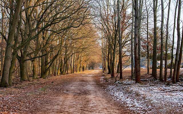 Wanderweg im Naturpark Nuthe-Nieplitz