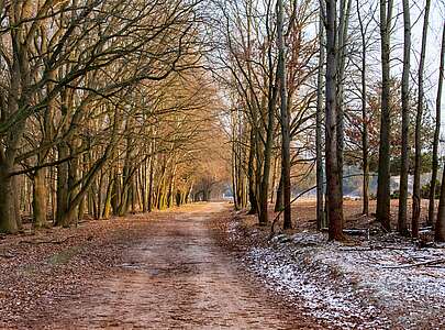 Wanderweg im Naturpark Nuthe-Nieplitz
