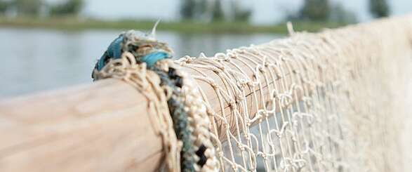 Fischer Schröder: Frische Fische aus dem Havelland