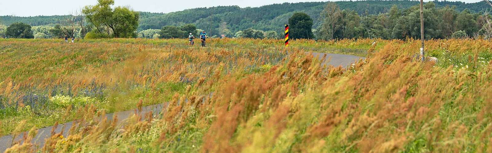 Oder-Neiße-Radweg,
        
    

        Foto: TMB-Fotoarchiv/Steffen Lehmann