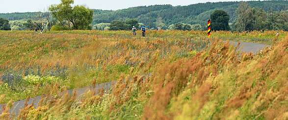 Unterwegs mit dem Rad im Herbst in Brandenburg