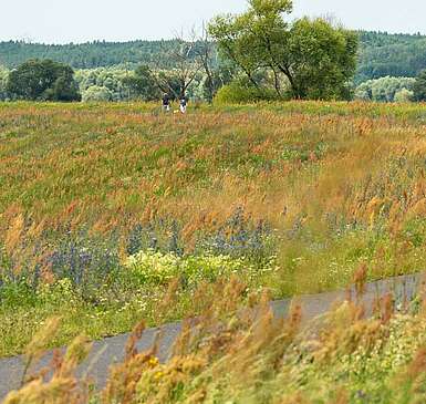 Unterwegs mit dem Rad im Herbst in Brandenburg