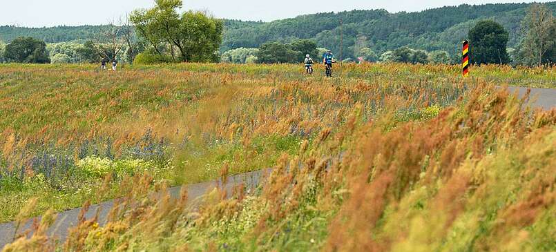 Unterwegs mit dem Rad im Herbst in Brandenburg