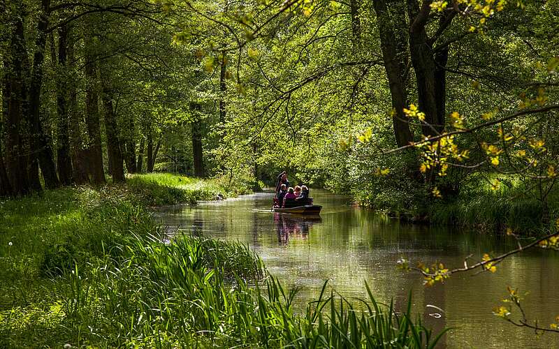 



        
            Kahnfahrt durch die Spreewaldfließe,
        
    

        
        
            Foto: Peter Becker
        
    