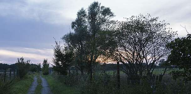 Sonnenuntergang auf Gut Gollin