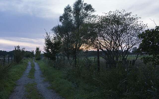 Sonnenuntergang auf Gut Gollin