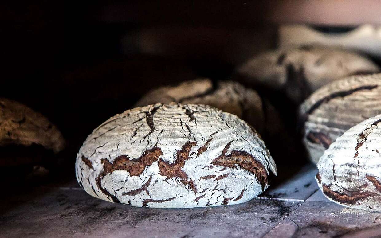 Frisch gebackenes Brot aus dem Ofen