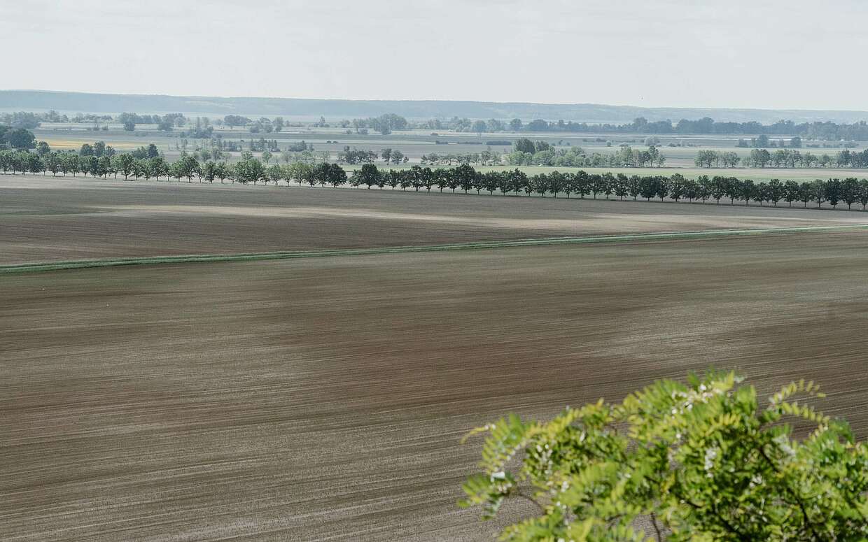 Blick vom Reitweiner Sporn ins Oderbruch
