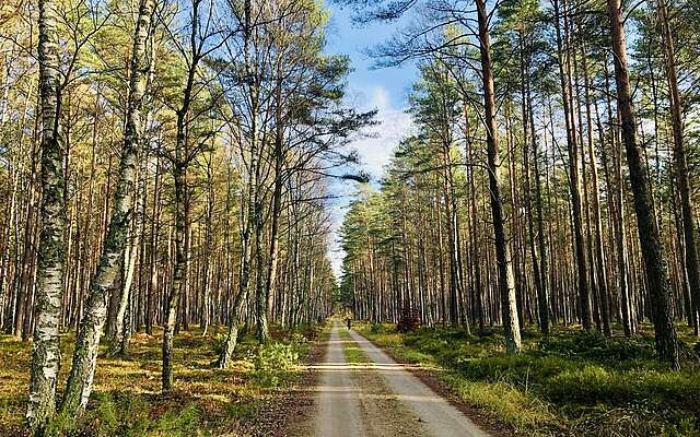 Naturroute zum Tierpark