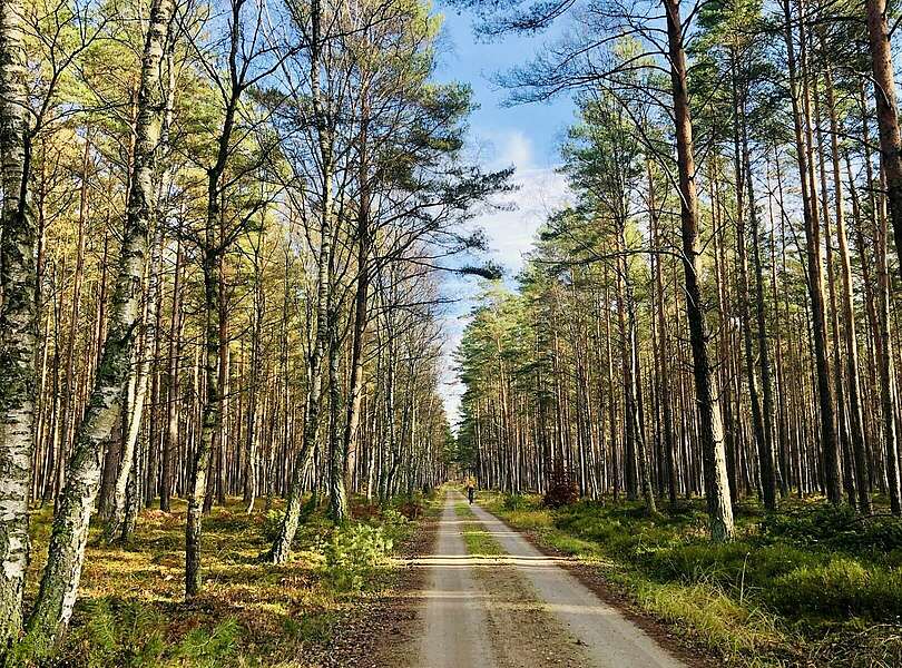 Naturroute zum Tierpark