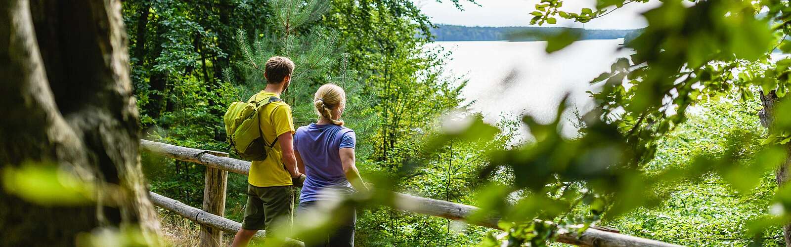 Wanderer im Naturpark Stechlin-Ruppiner Land,
        
    

        Foto: TMB-Fotoarchiv/Wolfgang Ehn