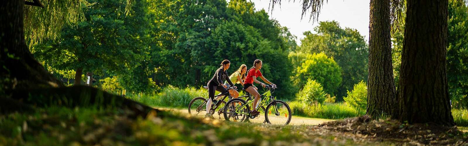 Radfahrer bei Himmelpfort,
        
    

        Foto: REGiO-Nord mbH/André Wirsig