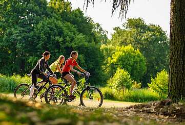 Radtouren im Ruppiner Seenland