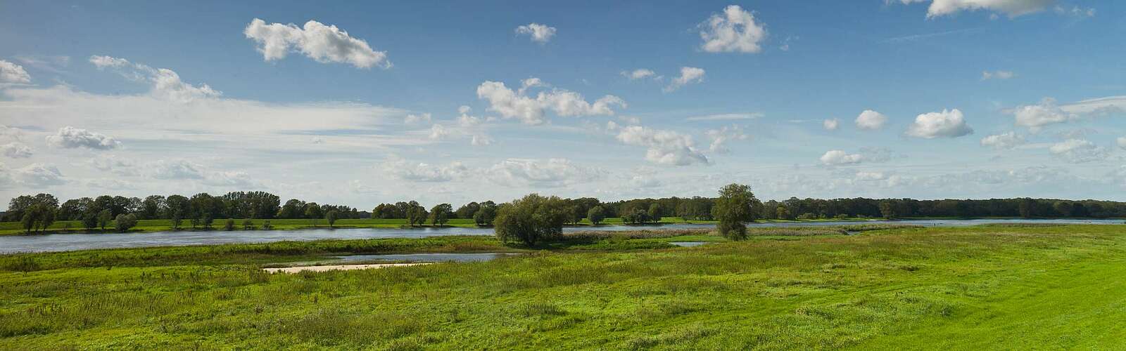 Die Elbe in der Weite der Prignitz,
        
    

        Foto: TMB-Fotoarchiv/Yorck Maecke