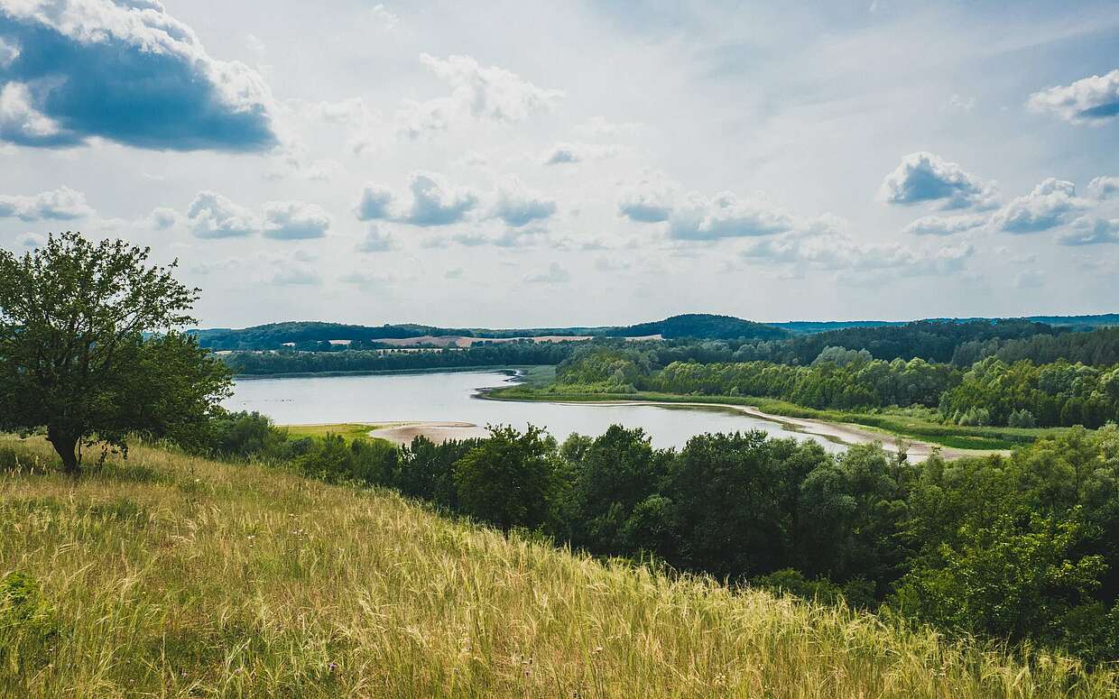 Auf dem Rummelsberg bei Brodowin