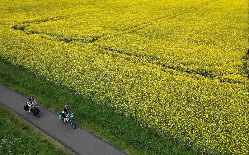 



        
            mit dem Fahrrad vorbei an Rapsfeldern,
        
    

        Foto: Tourismusverband Ruppiner Seenland e.V./Thomas Widerin
    