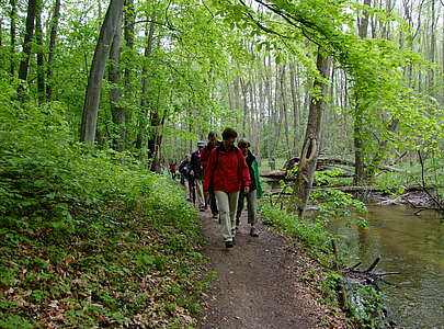 Wanderer auf der Naturparkroute in der Märkischen Schweiz