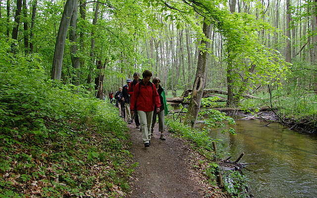 Wanderer auf der Naturparkroute in der Märkischen Schweiz