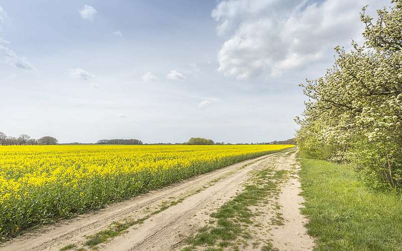 



        
            Oderbruch,
        
    

        Foto: TMB-Fotoarchiv/Steffen Lehmann
    