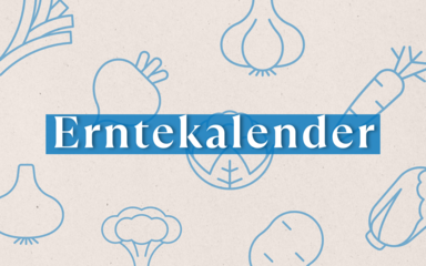 Erntekalender für saisonales Gemüse