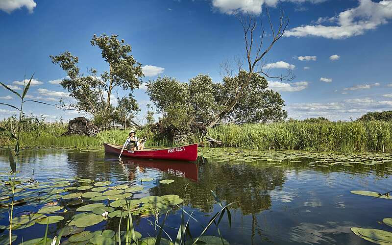



        
            Kanu im Nationalpark Unteres Odertal,
        
    

        Foto: TMB-Fotoarchiv/Michael Handelmann
    