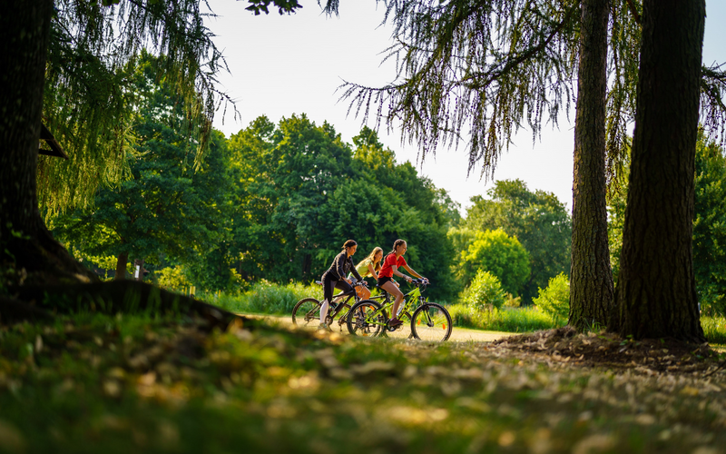 



        
            Radfahrer bei Himmelpfort,
        
    

        Foto: REGiO-Nord mbH/André Wirsig
    