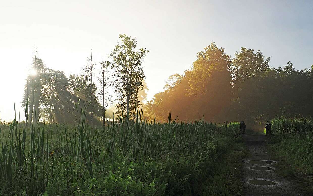 Morgenstimmung in Rheinsberg