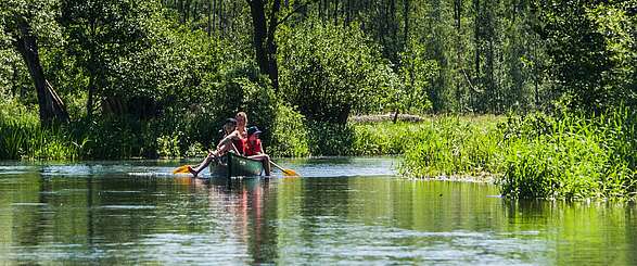 Paddeln im Spreewald