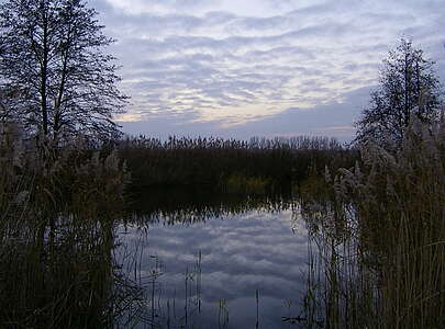 Der Geronsee bei Gransee