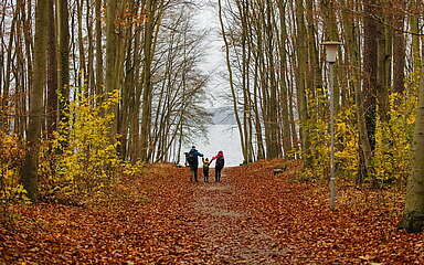 Herbstliche Wanderung mit der Familie