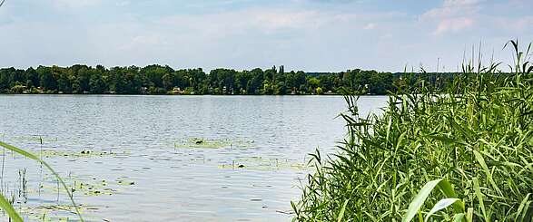 Baden und wandern im Dahme-Seenland