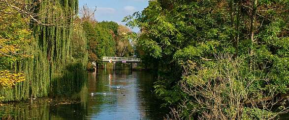 Königs Wusterhausen: Funkerberg und Königsschloss