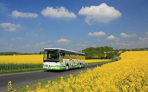 Burgenbus im Fläming