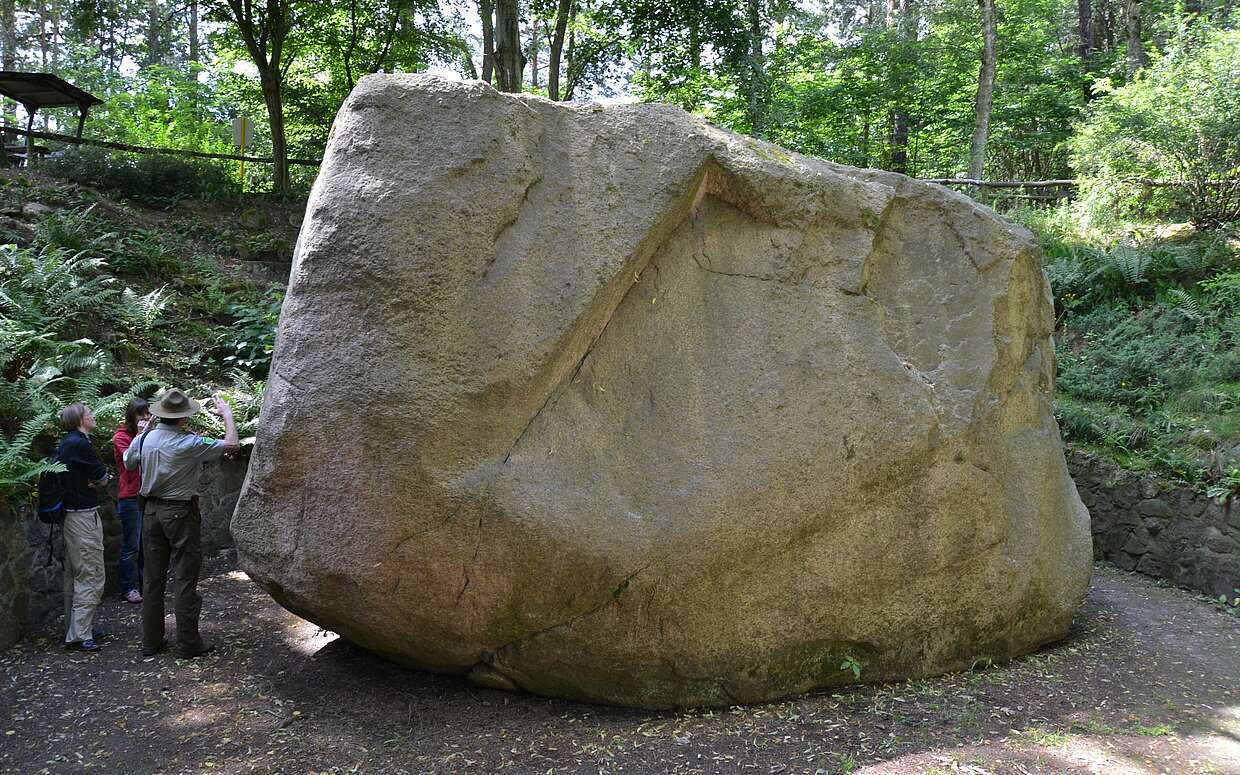 7,30 Meter lang, 5,25 Meter breit und 4,52 Meter hoch - das ist der "Kobbelner Stein" im Naturpark Schlaubetal.
