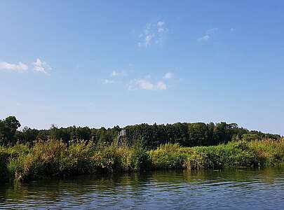 Uferlandschaft im Spreewald