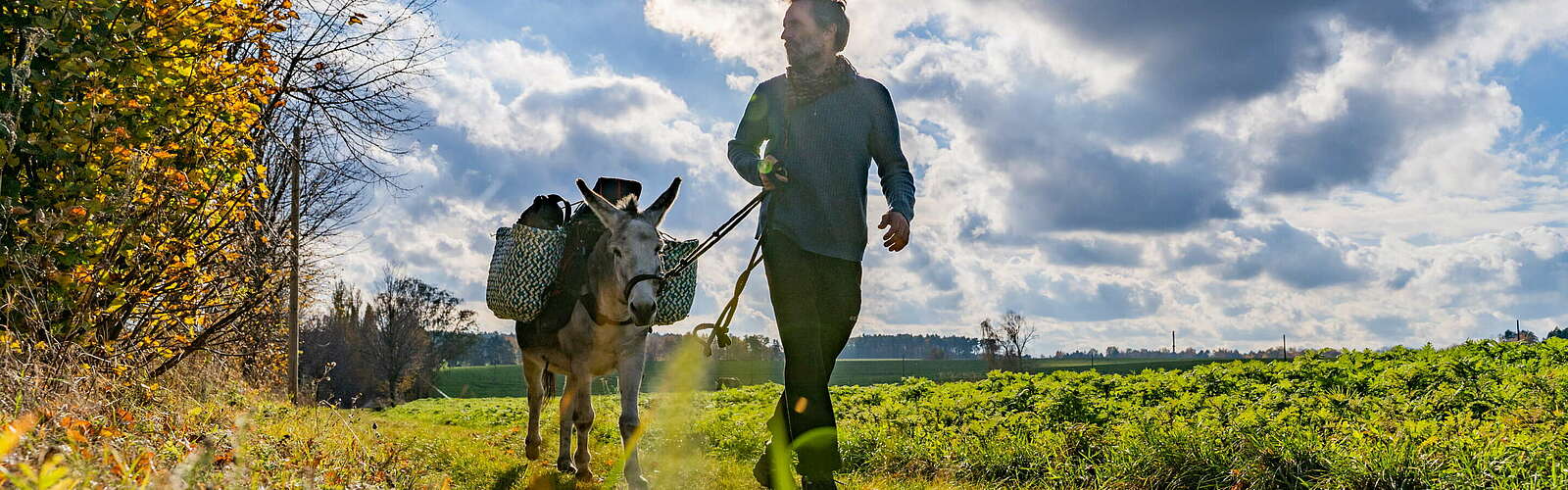 Eselwanderung im Fläming,
        
    

        Foto: TMB Fotoarchiv/julian hohlfeld