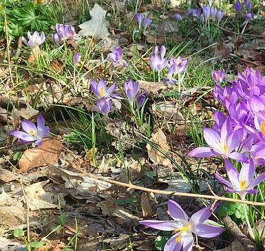 Her mit dem Frühling: 10 Tipps für Brandenburg