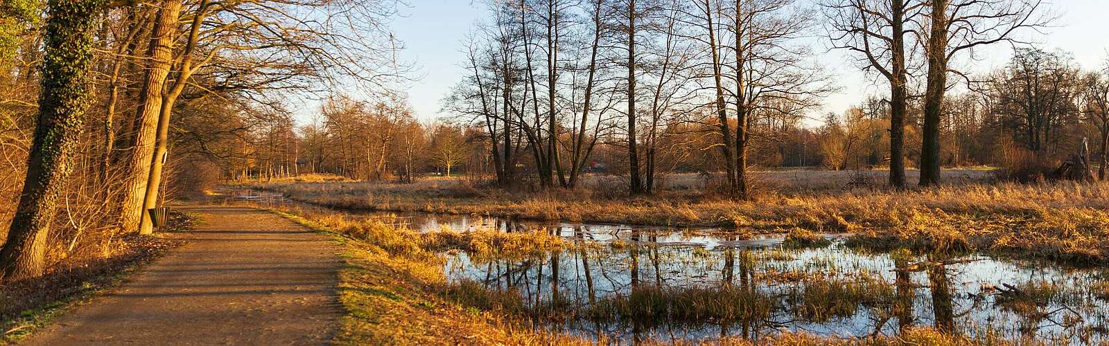 Winterlicher Spreewald zwischen Lübbenau und Lehde,
        
    

        Foto: TMB-Fotoarchiv/Steffen Lehmann