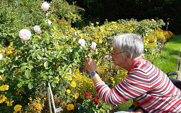 Ostdeutscher Rosengarten mit Rollstuhl