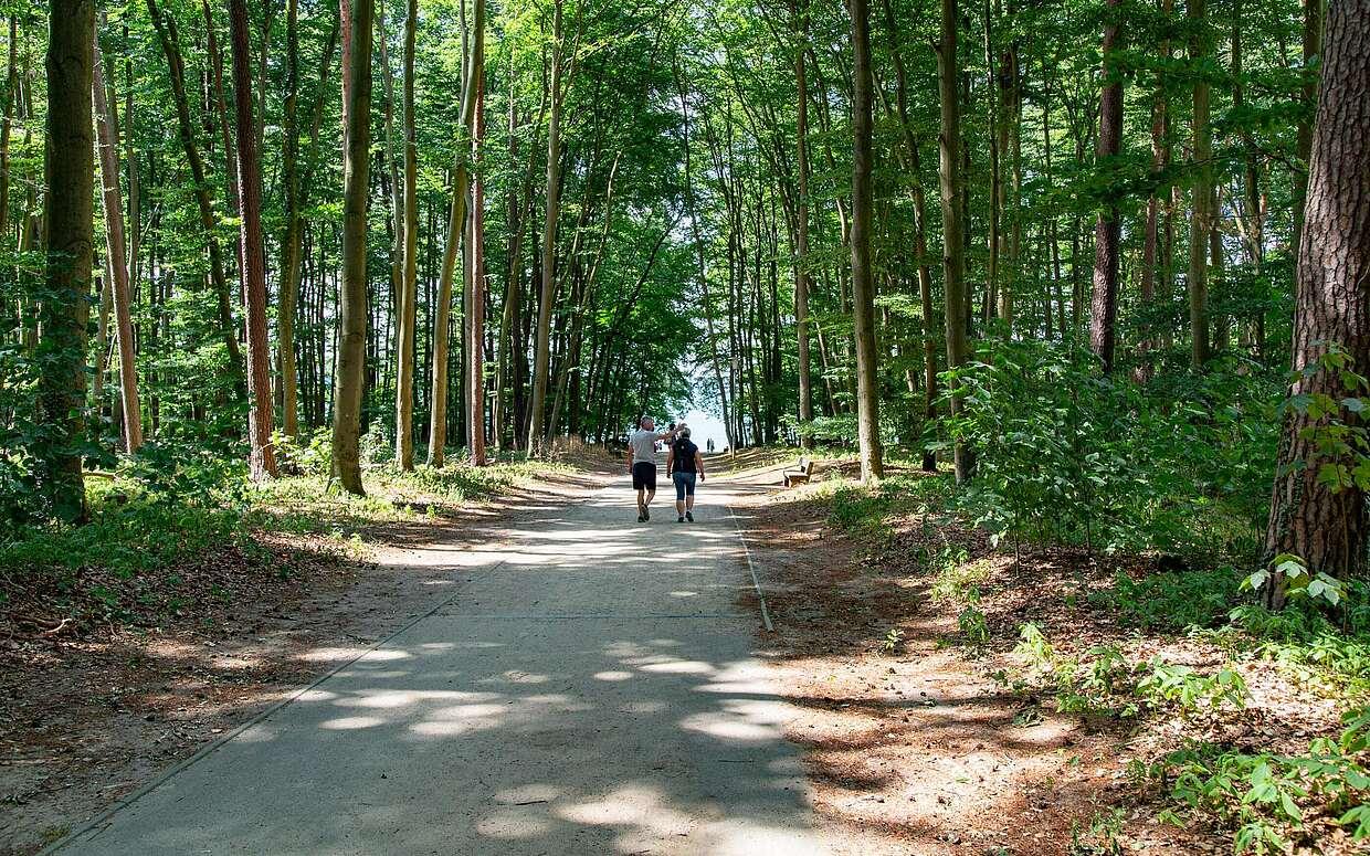 Wanderer auf dem Stechlinsee-Rundweg