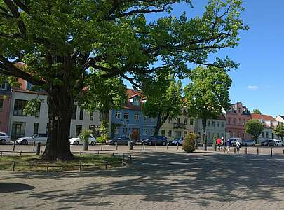Markplatz Werder Havel